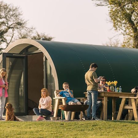فندق Kinelarty Luxury Glamping Pods داونباتريك المظهر الخارجي الصورة